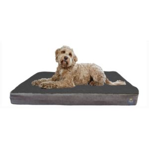 Orthapaedic Dog Beds